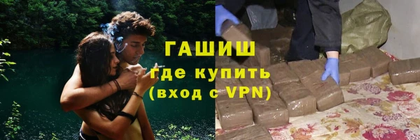 сатива Карпинск