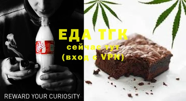 сатива Карпинск