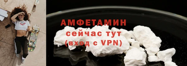 сатива Карпинск