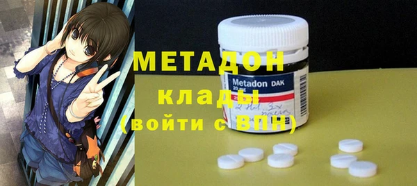сатива Карпинск