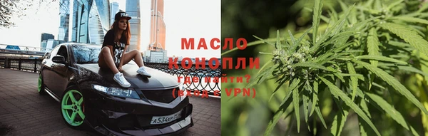сатива Карпинск