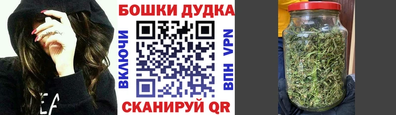 Марихуана Bruce Banner  Купить закладки  Новая Ладога 